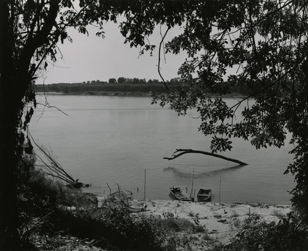 Mississippi River at the Shelby Forest State Park, 1953
